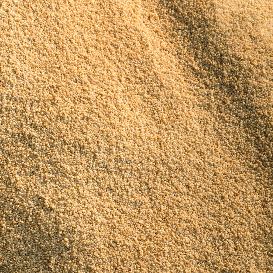 Aashirvaad Poppy Seeds/Khuskhus | Whole