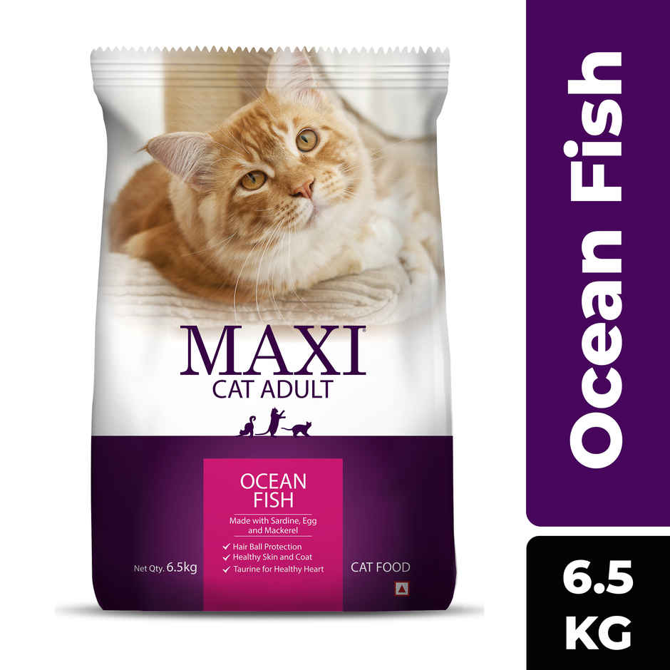 Maxi Ocean Fish Dry Cat FOOD