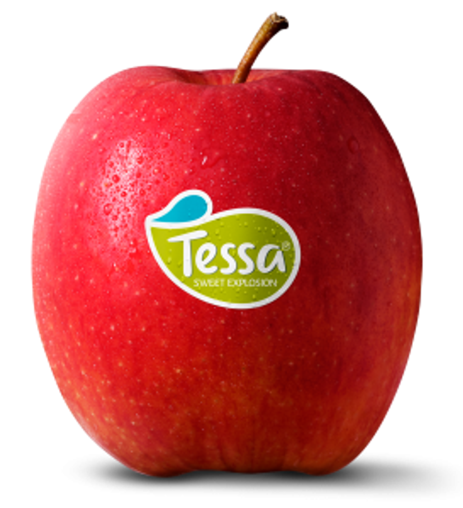 Tessa Apple