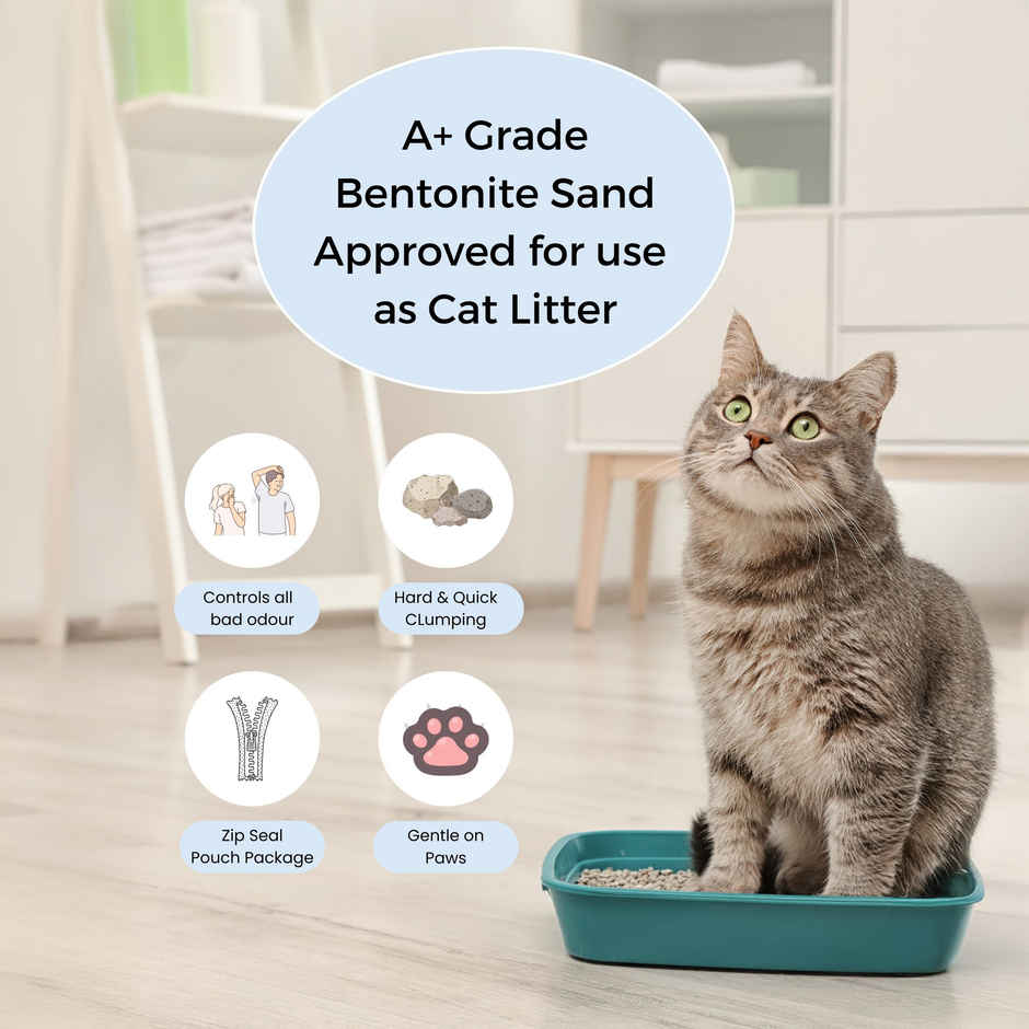 Tito Boo Mild Scented Bentonite Cat Litter | Pack Of 5