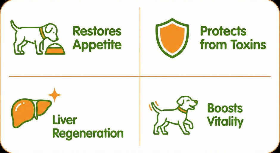 Nootie Strong Bone Support Calcium Syrup for Dogs & Cats