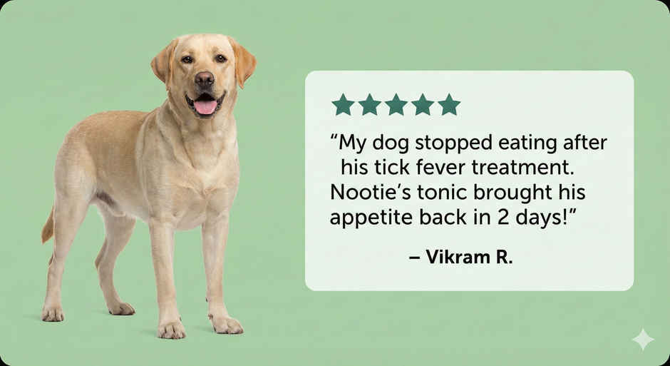 Nootie Strong Bone Support Calcium Syrup for Dogs & Cats