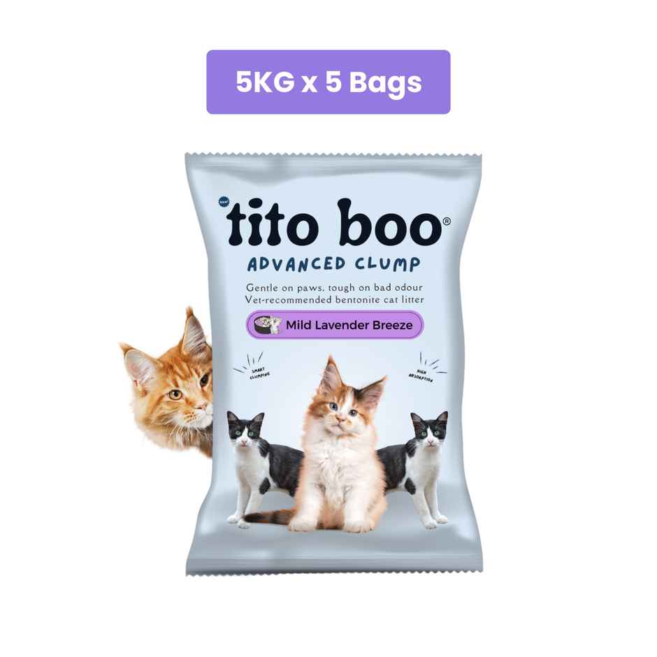 Tito Boo Mild Scented Bentonite Cat Litter | Pack Of 5