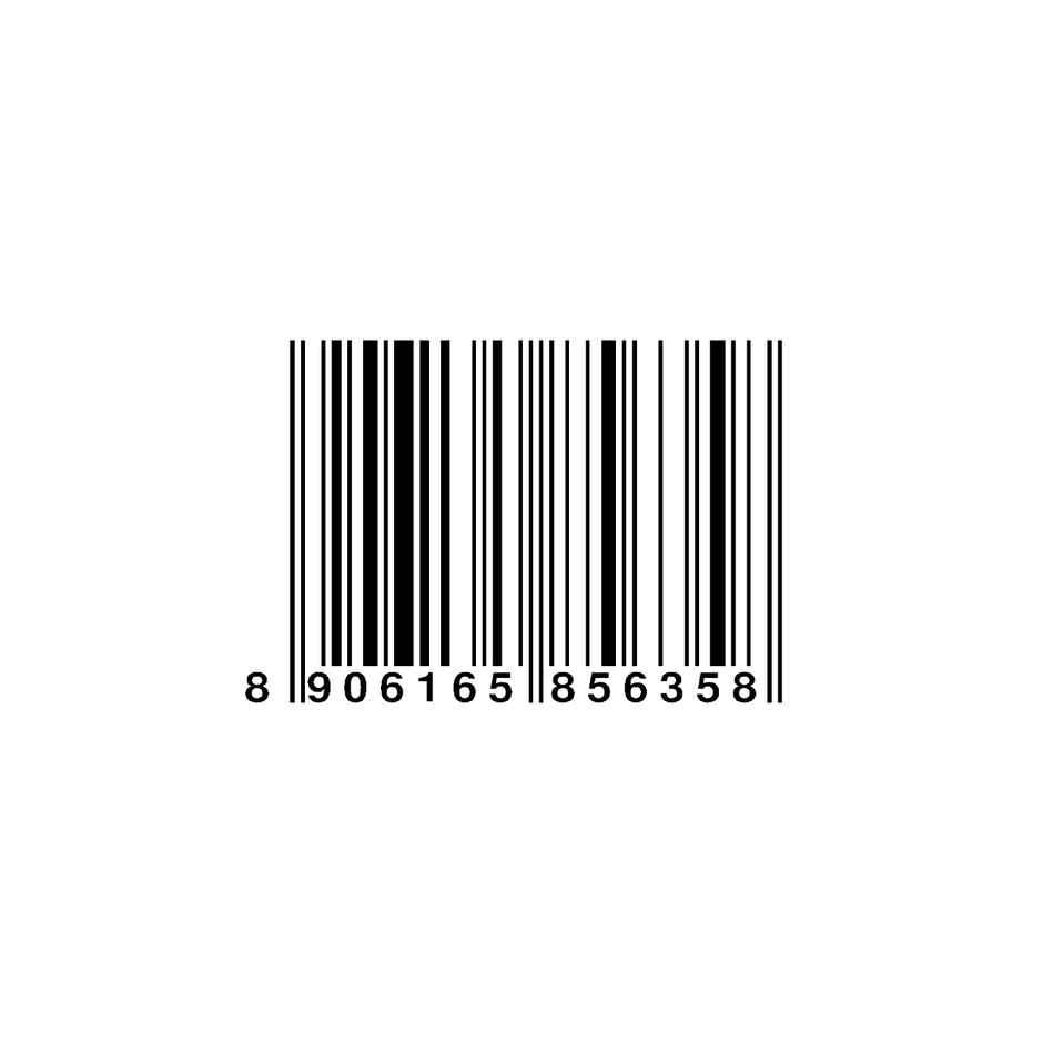 Healthy Master Quinoa Chips