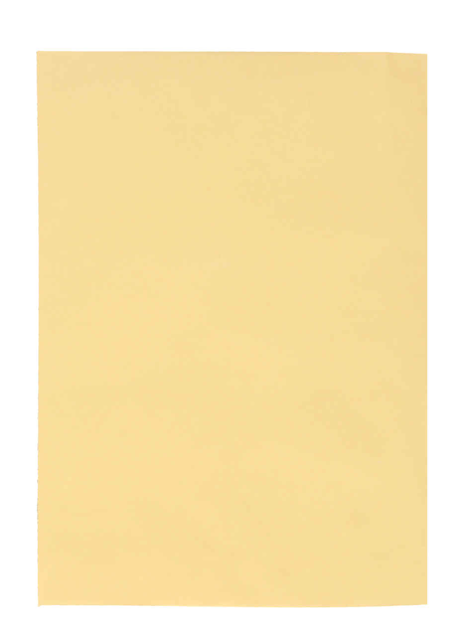Saya Count of 50 Yellow Laminated Envelopes - 10 x 12 in Strong Pasting for Secure Document Storage