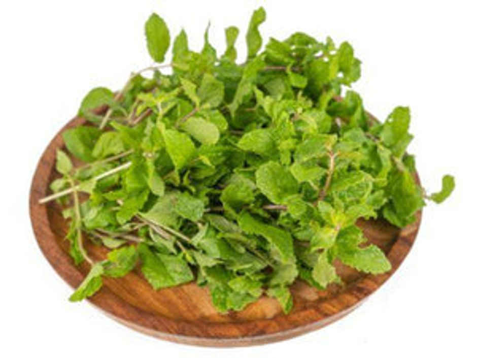 Organic Mint (Root-cut)