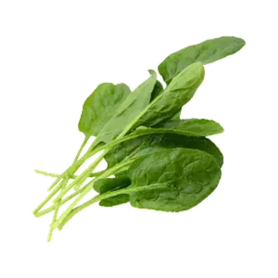 Organic Baby Spinach