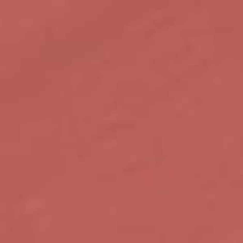 MARS Cosmetics Creamy Matte Long Lasting Lipstick (07-Majestic Mambo)