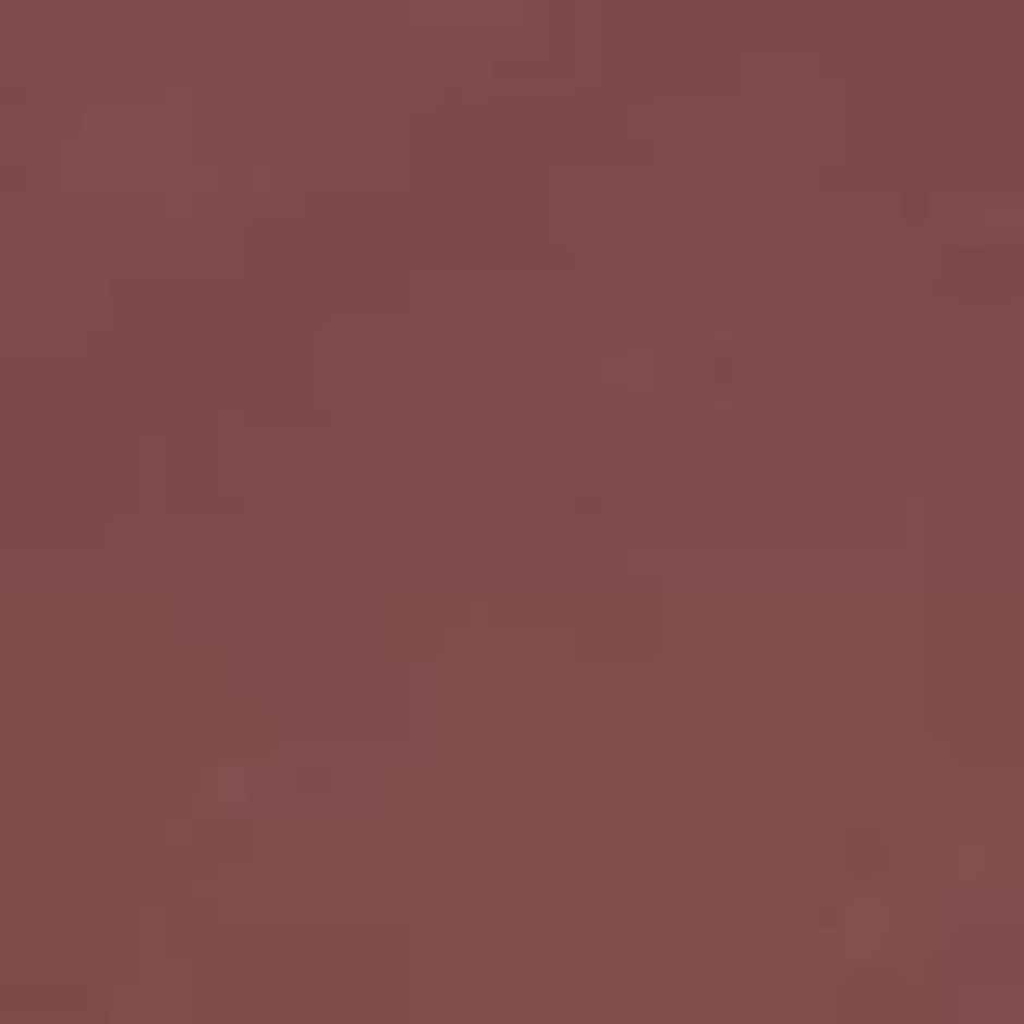 MARS Cosmetics Creamy Matte Long Lasting Lipstick (07-Majestic Mambo)