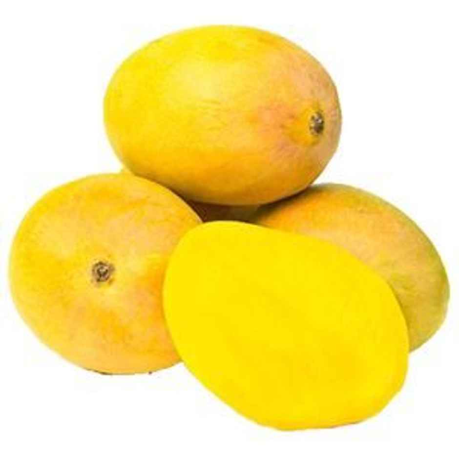 Mango Alphanso