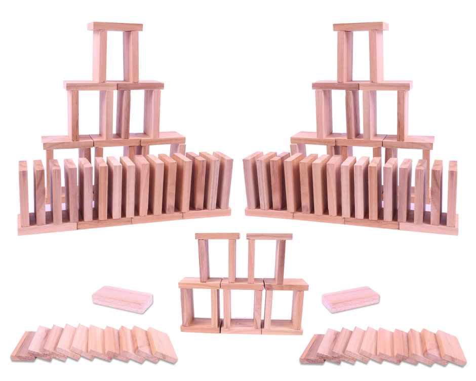 Toyshine 120-Piece Wooden Domino Blocks, Stacking & Racing Game for Kids