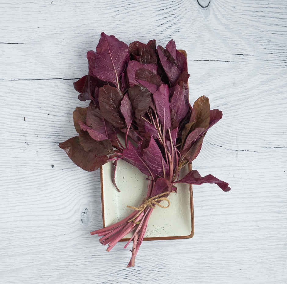 Amaranthus Red Combo