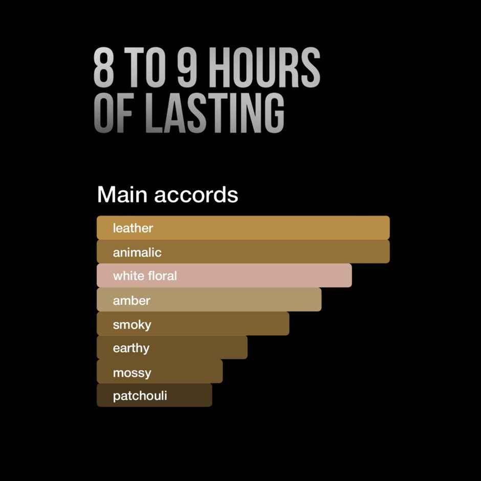 Metaman Ha1o Luxury Perfumes Gift Set For Men | Pack of 5