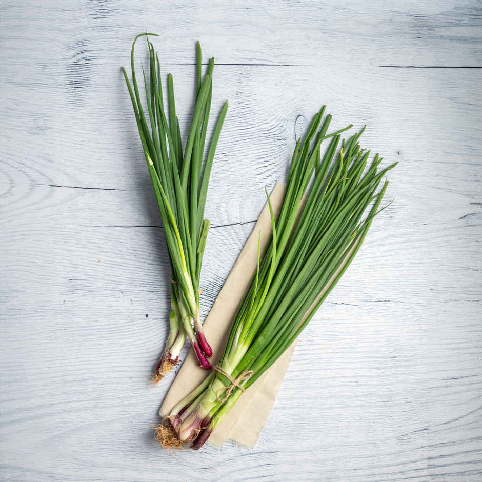 Spring Onion