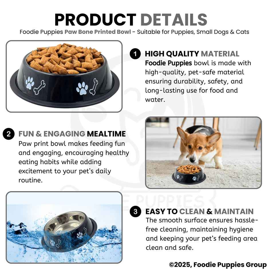 Foodie Puppies Pet Feeding Printed Bowl for Dogs & Cats (Color May Vary)