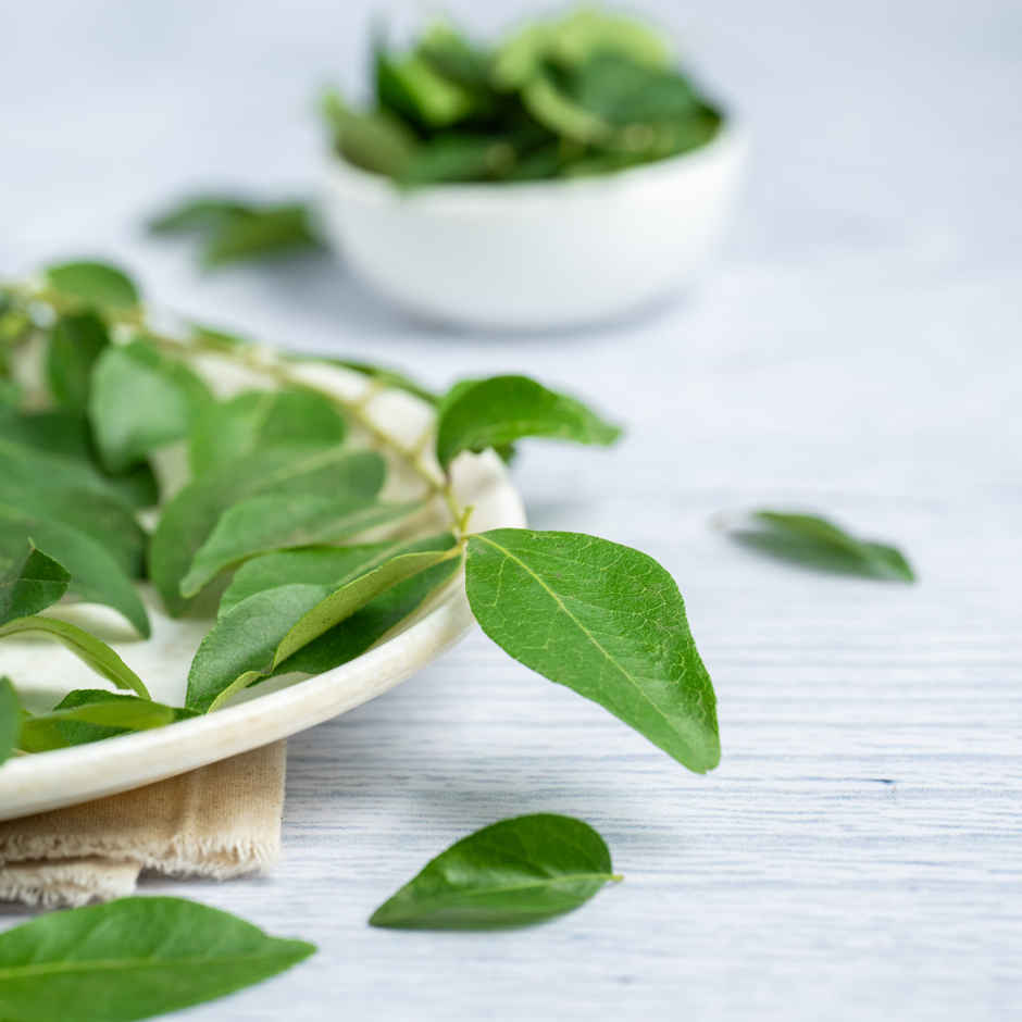 Curry Leaves - Cleaned, without roots Combo