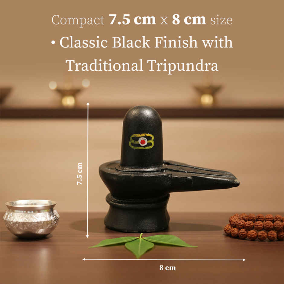 Black Stone Shivling | Mahadev Idol for Home Temple | Cycle