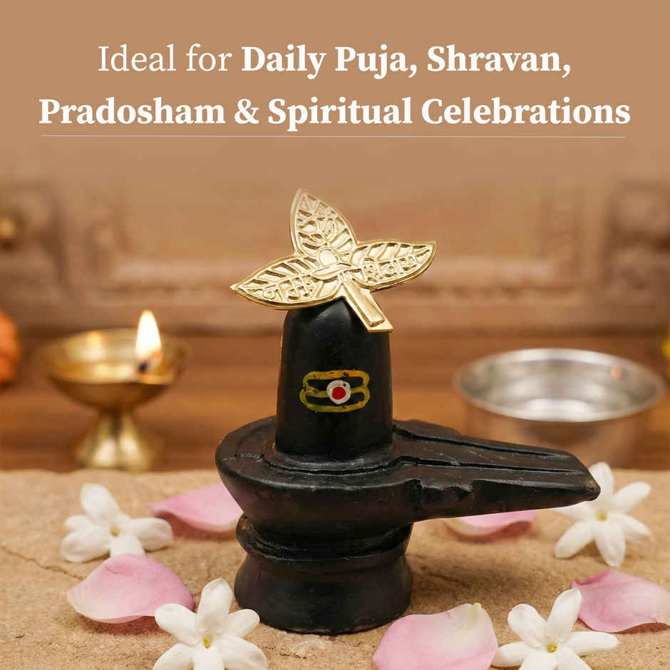Gold-Plated Belpatra Leaves | Puja & Sacred Offering for Lord Shiva | Cycle