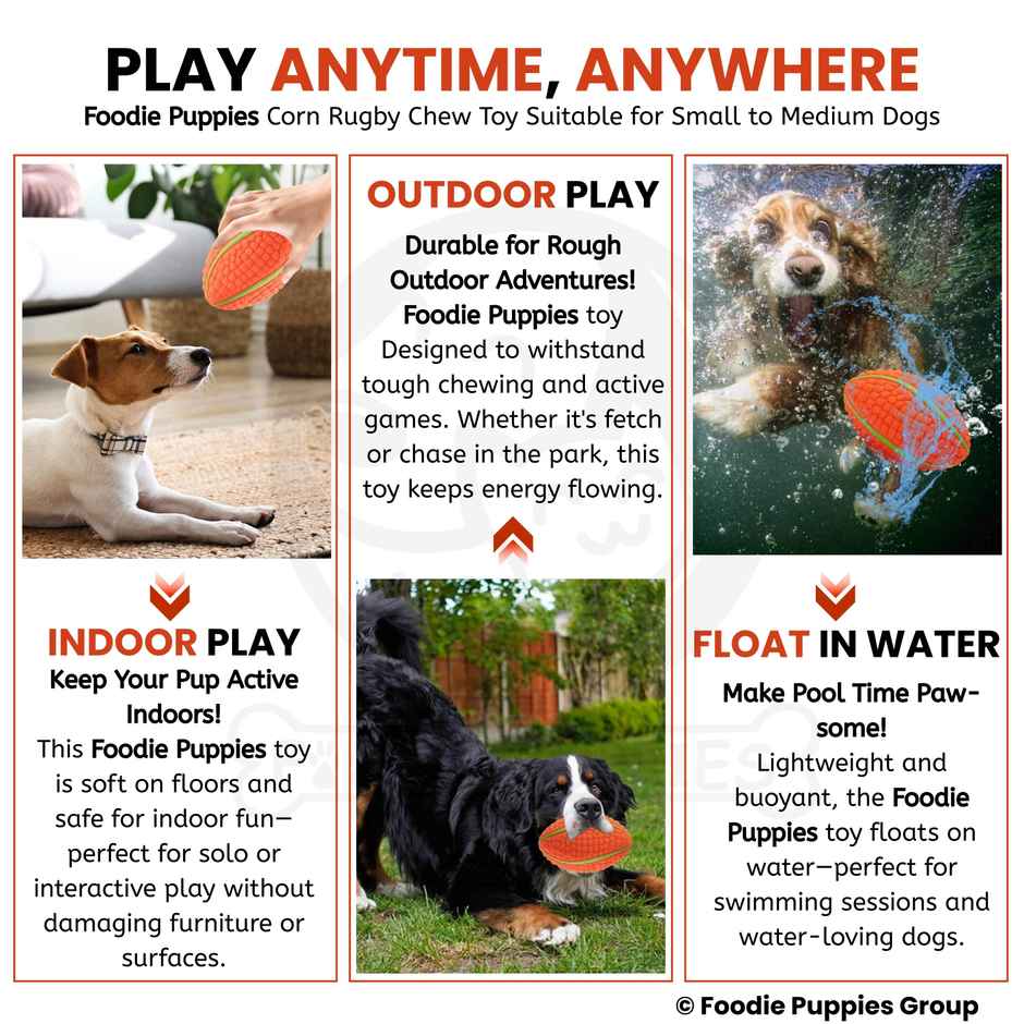 Foodie Puppies Latex Squeaky Dog Toy | Corn Rugby | Large