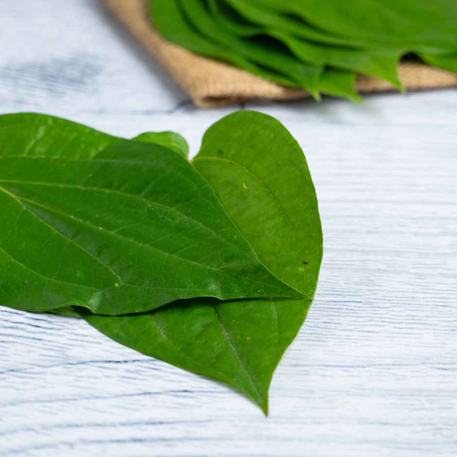 Betel Leaves (Paan) (10pc) & Jai Kashi 3 In 1 Premium Incense Stick (150g) & Jai Kashi Pancha Deepam Pooja Oil (1l) & Jai Kashi Pure Camphor (50g) & Jai Kashi Janeu (4pc) & Jai Kashi Round/ Flower Cotton Wicks (200pc) Combo