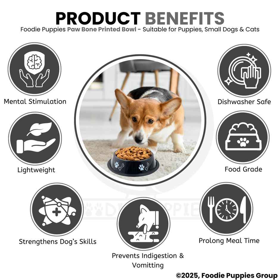 Foodie Puppies Pet Feeding Printed Bowl for Dogs & Cats (Color May Vary)