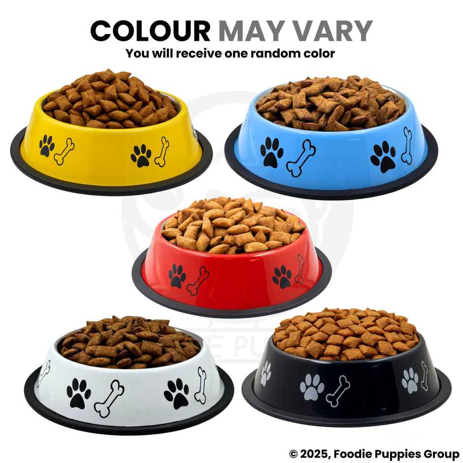 Foodie Puppies Pet Feeding Printed Bowl for Dogs & Cats (Color May Vary)