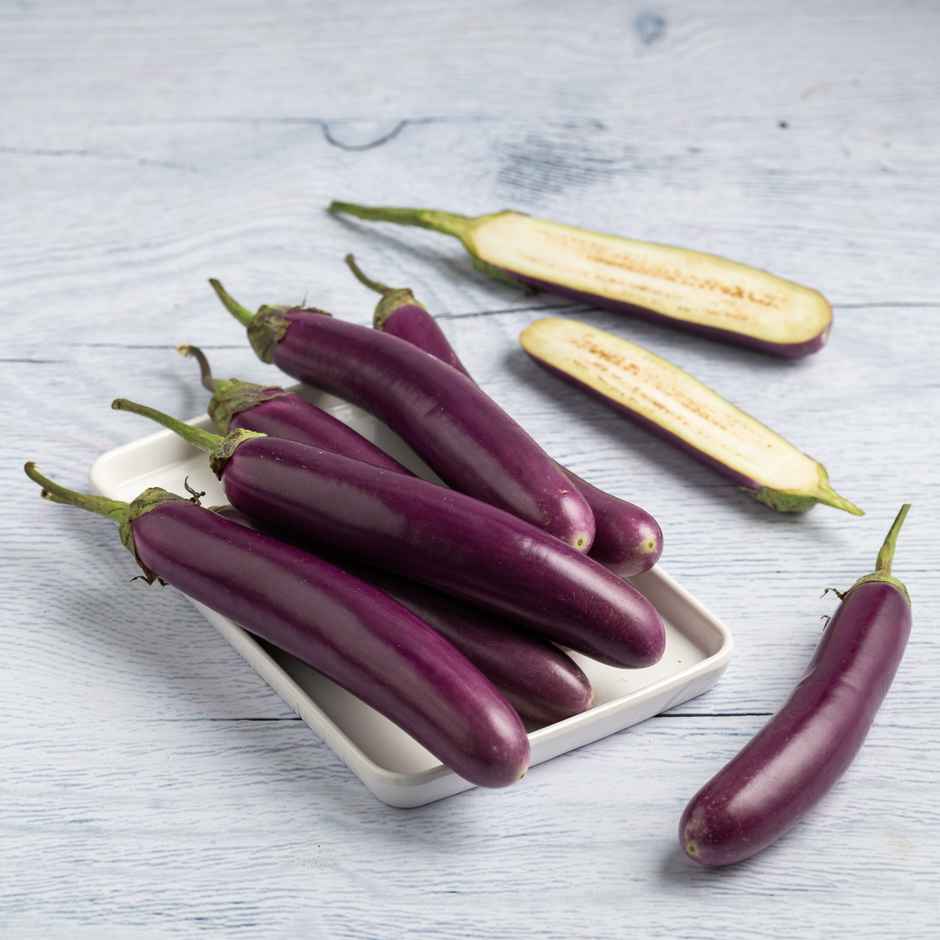 Brinjal Long Purple