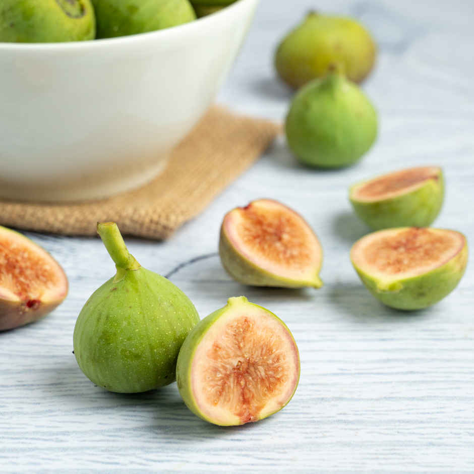 Fig