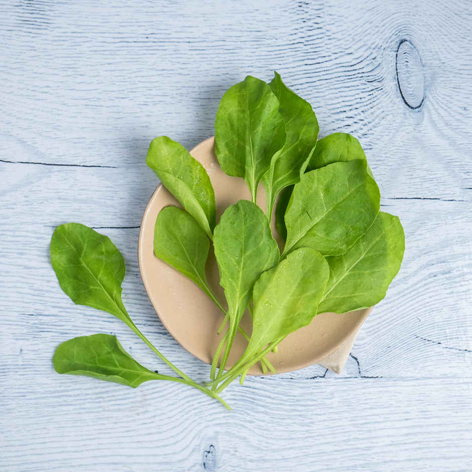 Spinach (Palak) - Cleaned, without roots