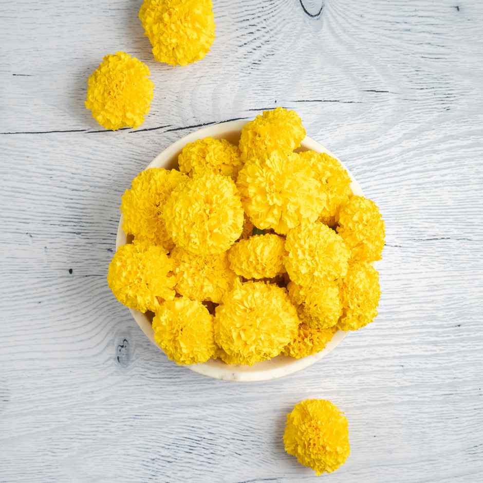Marigold Yellow Flower