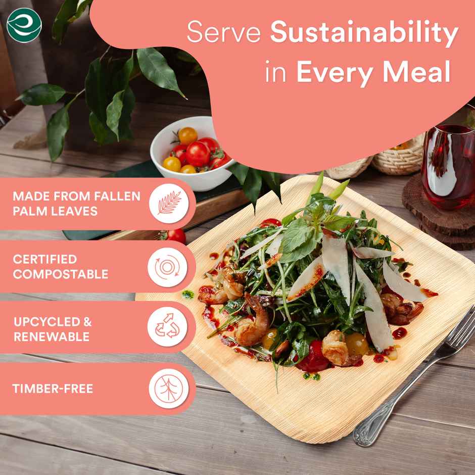 Palm Leaf Plate | Square | 8 inch | 10 Count | Eco Soul