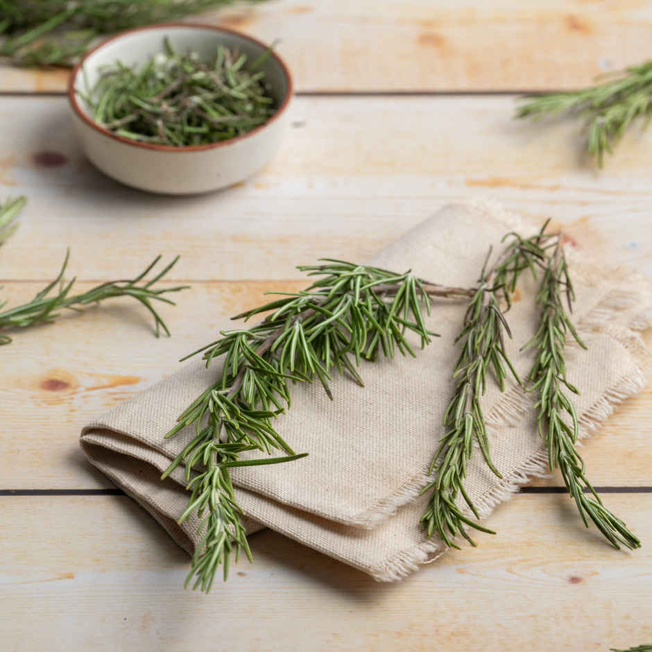 Rosemary Combo