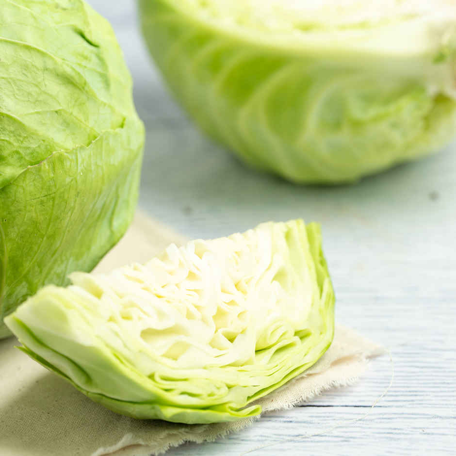 Baby Cabbage