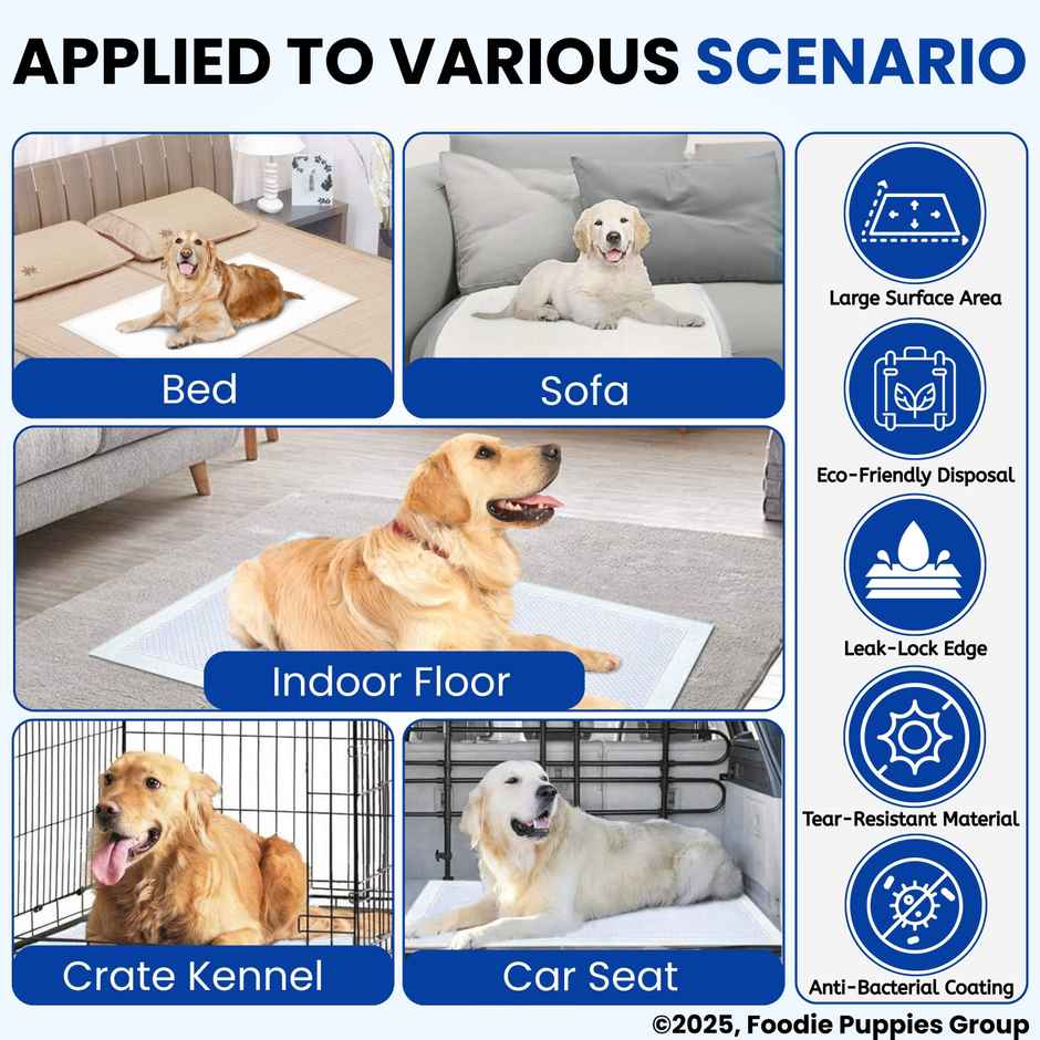 Foodie Puppies Pee and Potty Training Pads for Dogs and Cats | 45 x 60 cm