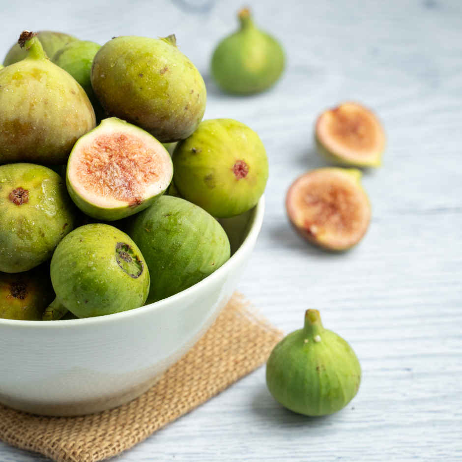 Fig