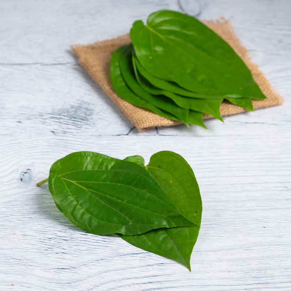 Betel Leaves (Paan) (10pc) & Jai Kashi 3 In 1 Premium Incense Stick (150g) & Jai Kashi Pancha Deepam Pooja Oil (1l) & Jai Kashi Pure Camphor (50g) & Jai Kashi Janeu (4pc) & Jai Kashi Round/ Flower Cotton Wicks (200pc) Combo