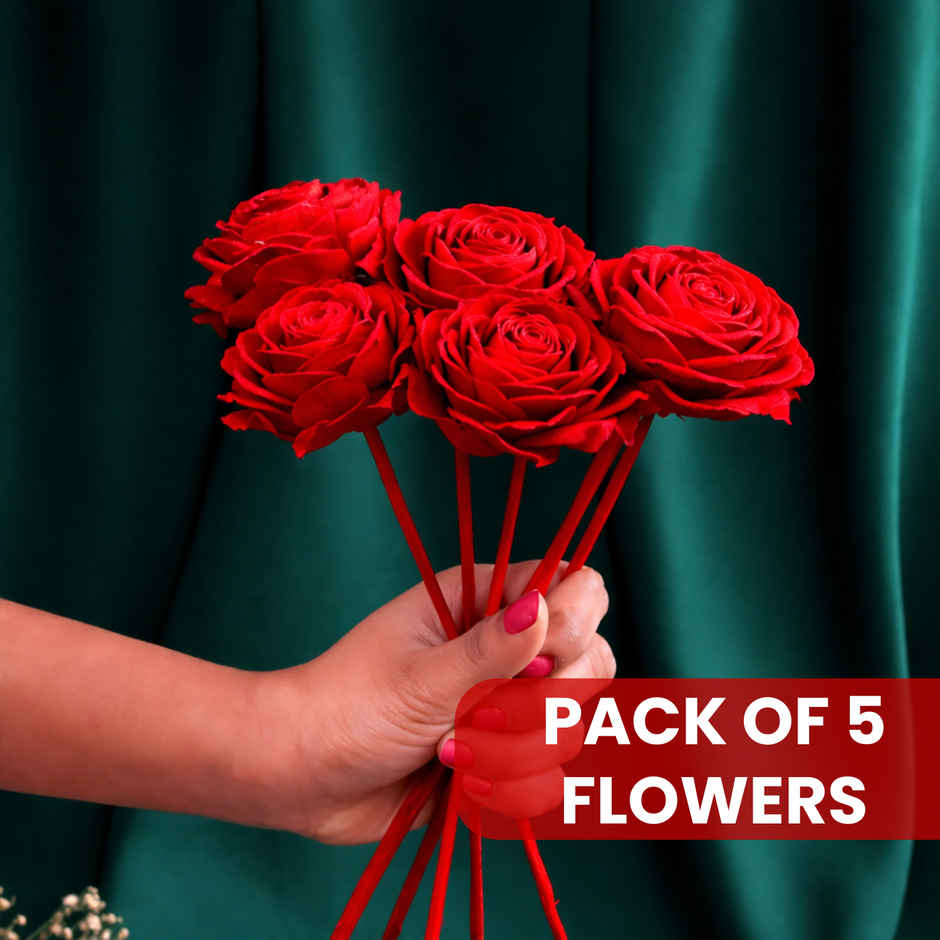 Radiant Roses | Natural Dried Flowers | Eternal Blooms