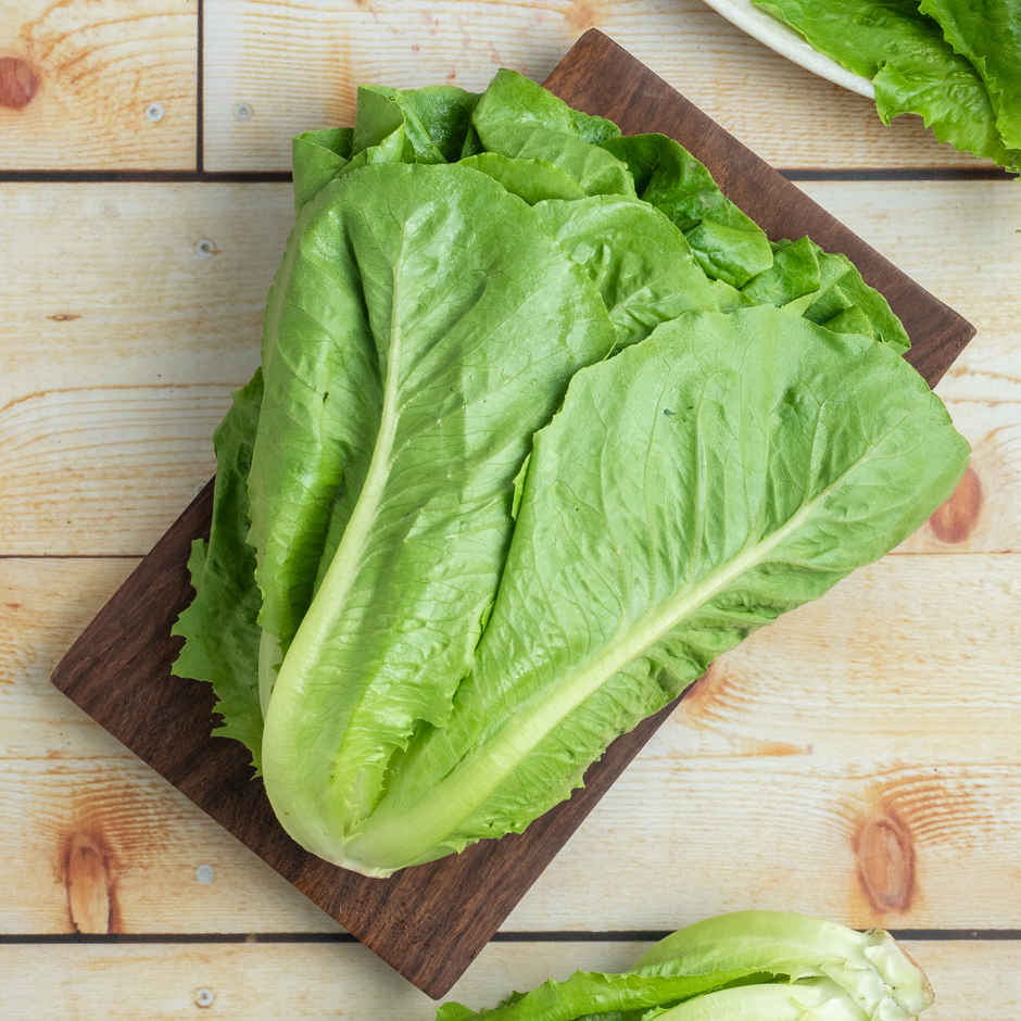 Lettuce Romaine Green