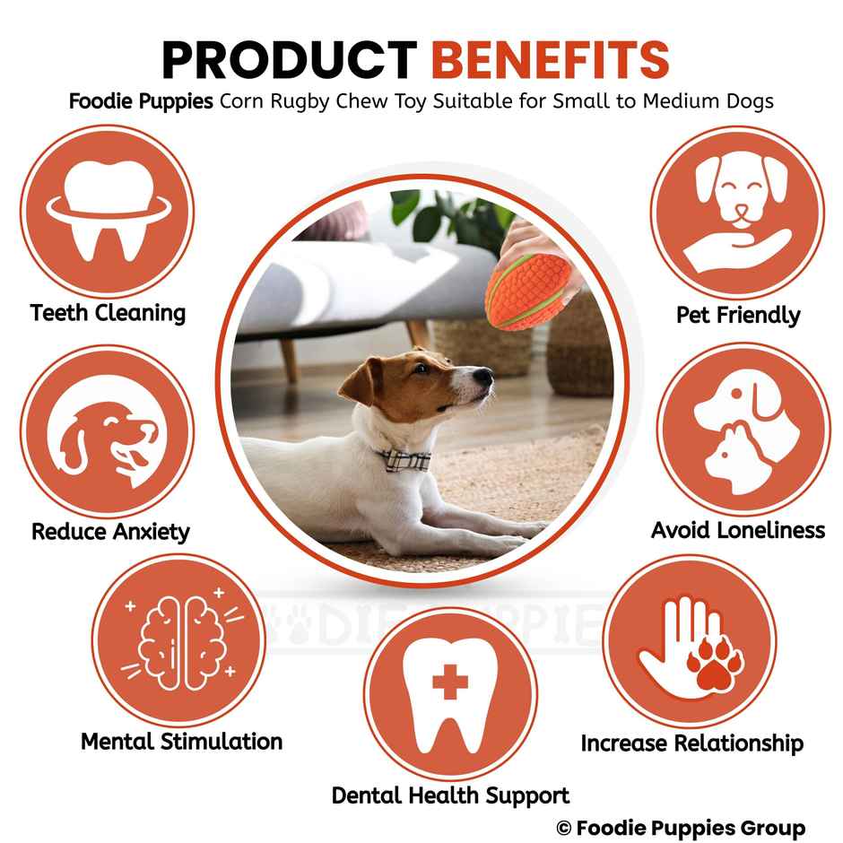 Foodie Puppies Latex Squeaky Dog Toy | Corn Rugby | Large