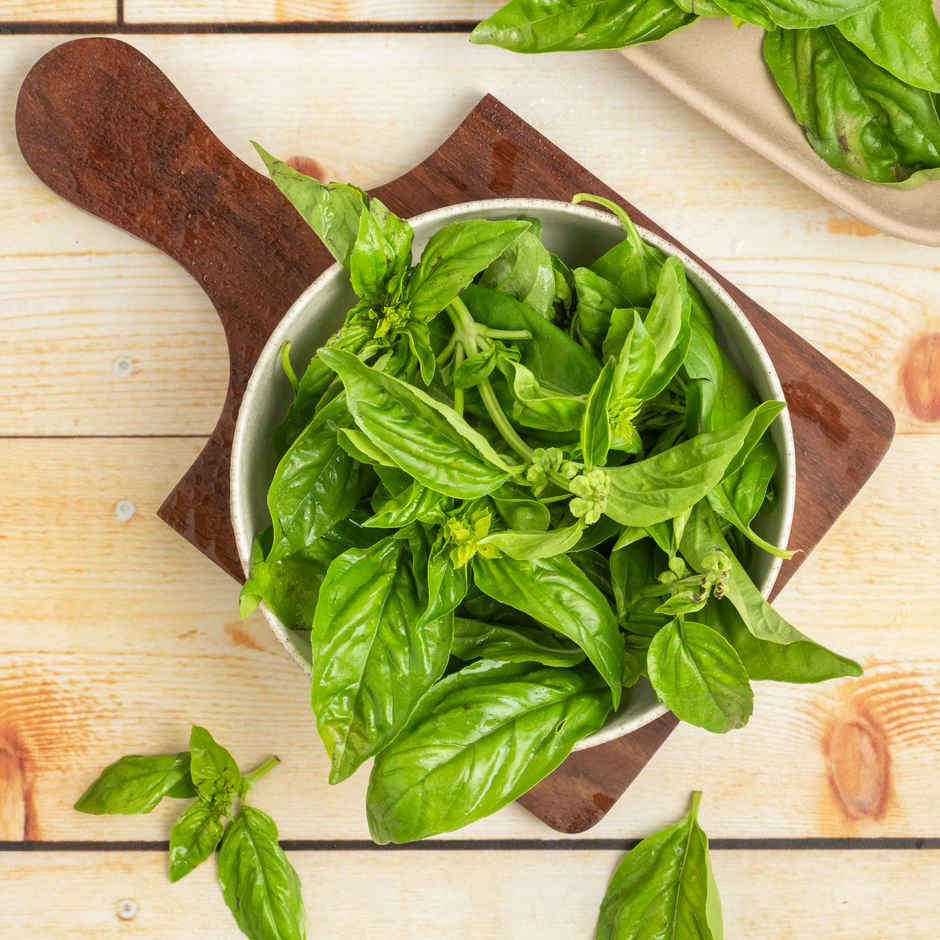 Basil Italian