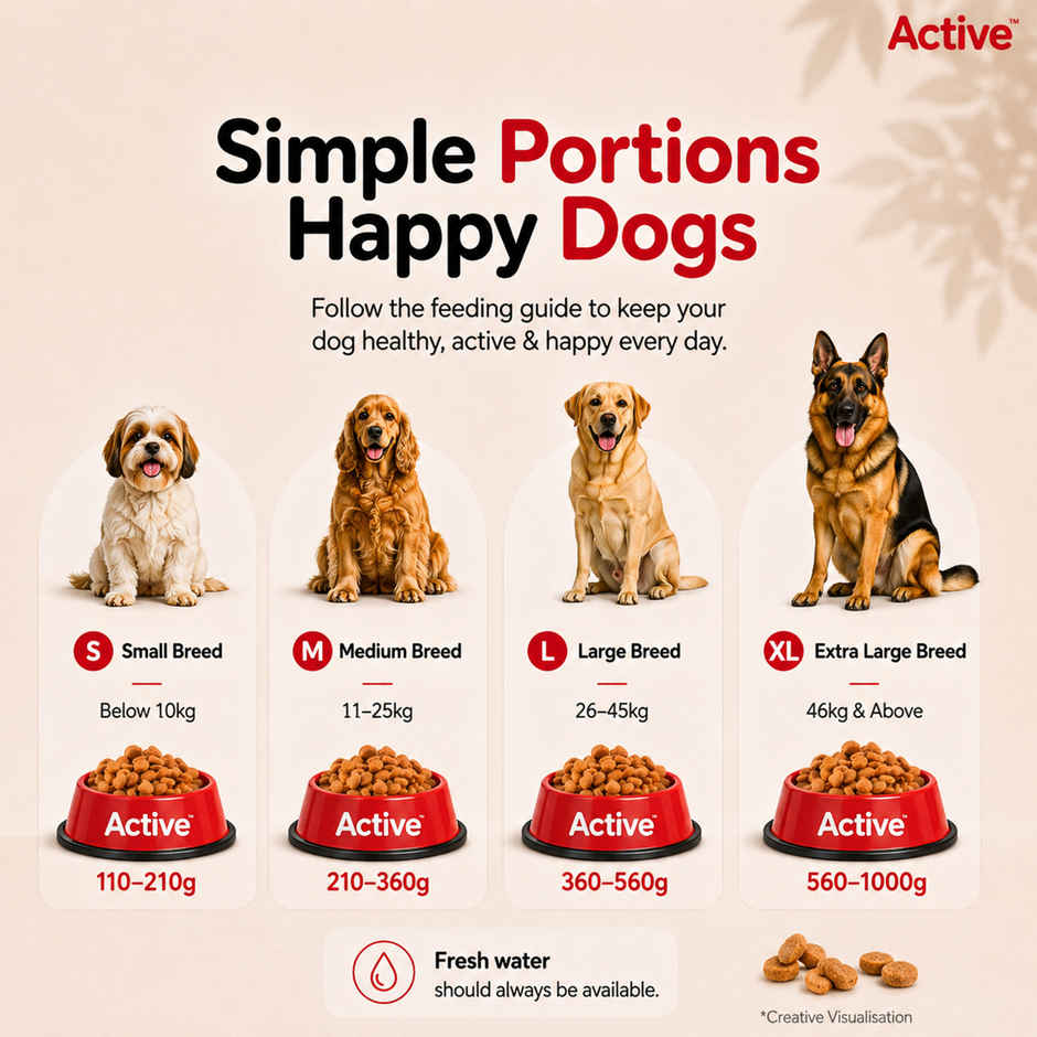 Active Adult Chicken And Vegetables Dry Dog Food