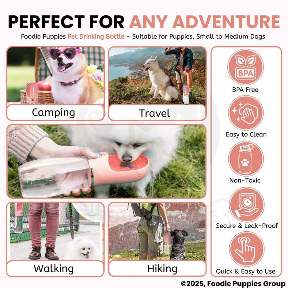 Foodie Puppies Leak-Proof Pet Water Dispenser Bottle for Dogs & Puppies | 500 ml