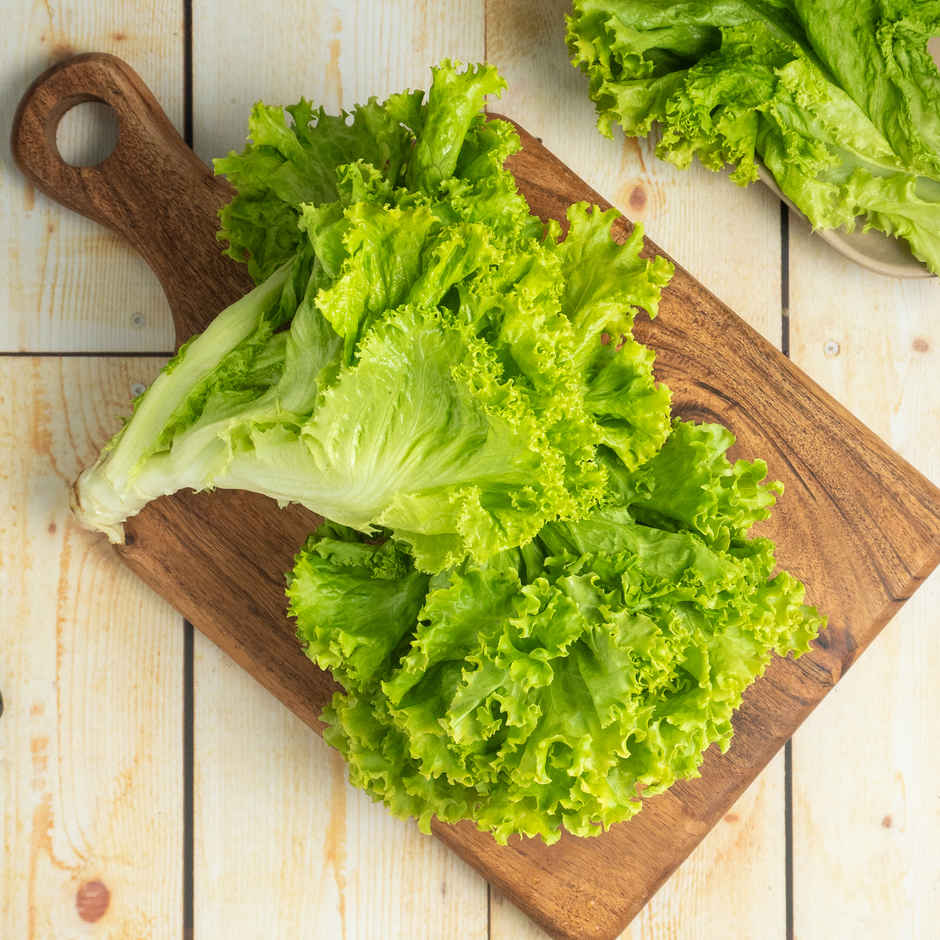 Hydroponic Lettuce Green