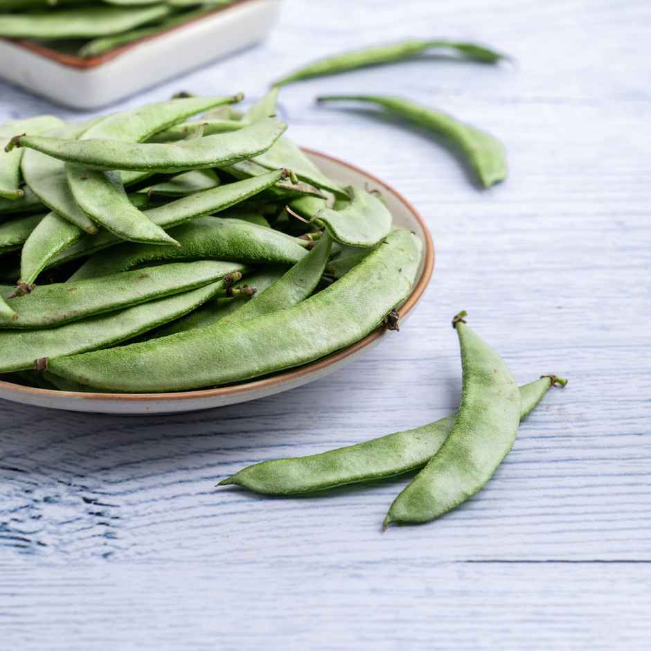 Beans Broad (Chikkudu)