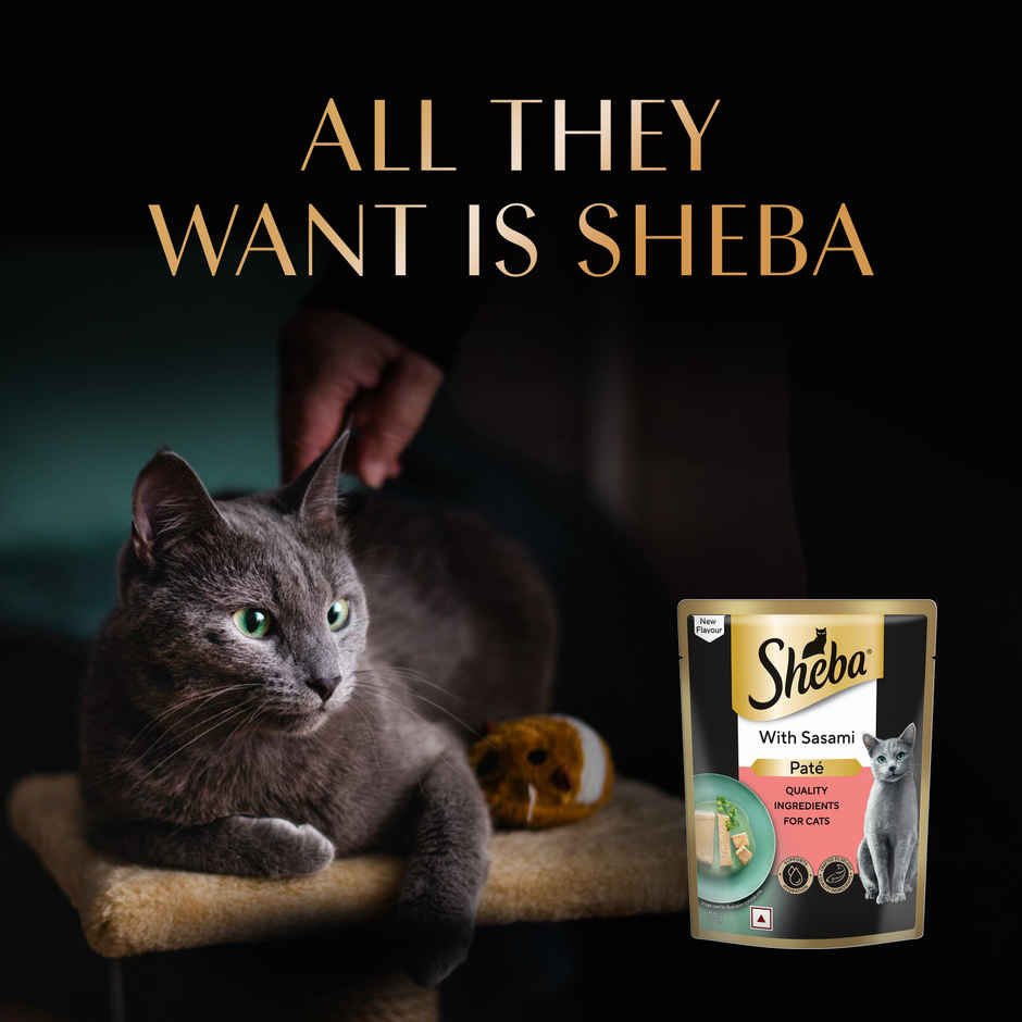 Sheba Pate Adult Wet Cat Food | Sasami