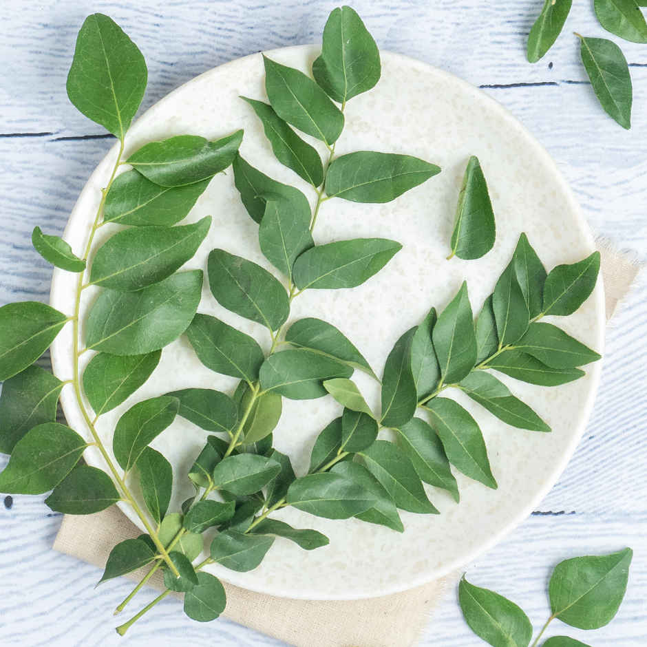 Curry Leaves - Cleaned, without roots Combo