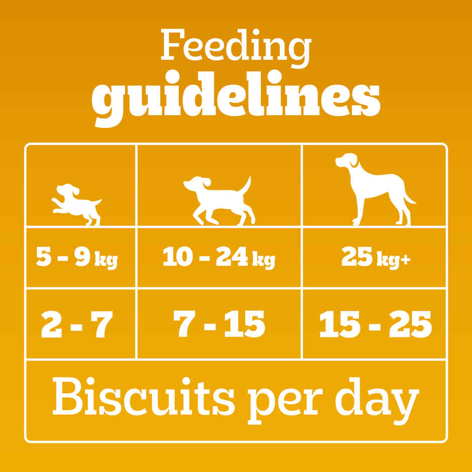 Pedigree Biscrok Dog Biscuits | Above 4 Months | Lamb Flavour | Jar