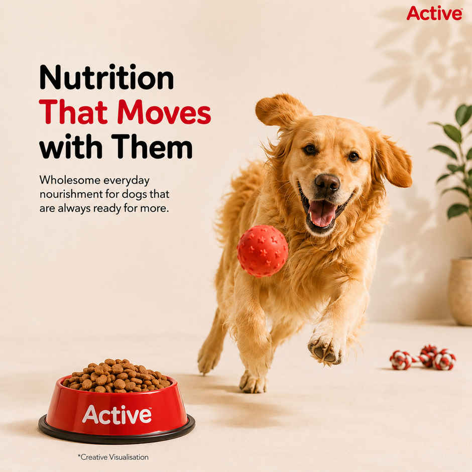 Active Adult Chicken And Vegetables Dry Dog Food