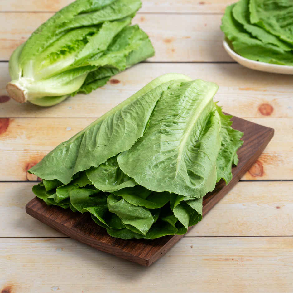 Lettuce Romaine