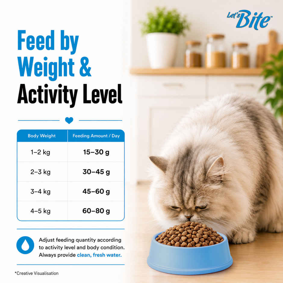 Let's Bite Active Adult Dry Cat Food (Buy 1 Get 1 Free)